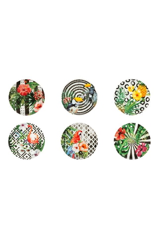 6 assiettes en porcelaine Tropical - 31 cm