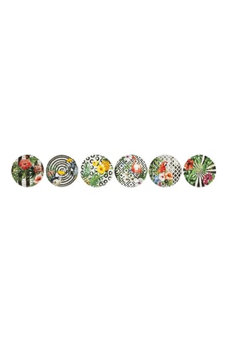 6 assiettes en porcelaine Tropical - 31 cm