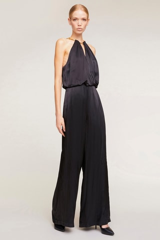 Mono - Negro