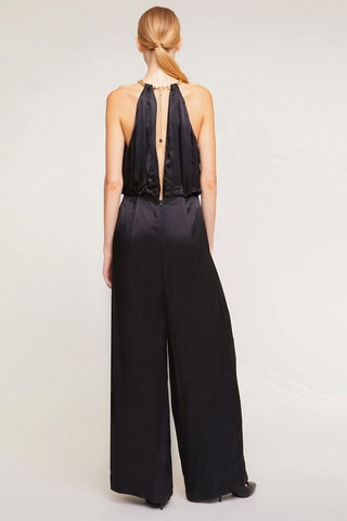 Mono - Negro