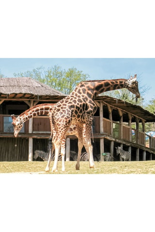 Journée en famille au parc - Parc zoologique d'Amnéville - 3 personnes