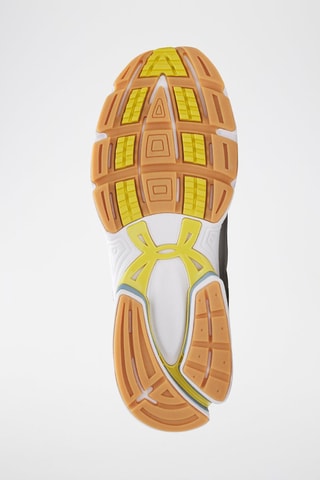 Baskets en cuir Sola - Marron