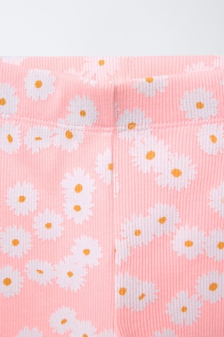 Panty - Saumon