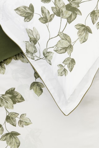 Taie d'oreiller en percale de coton 80 fils/cm² Lierre - Blanc