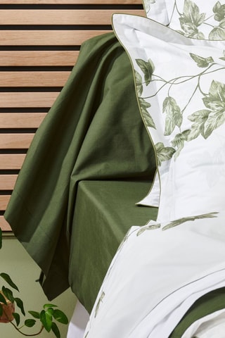Drap-housse en percale de coton 31 fils/cm² Lierre - Vert