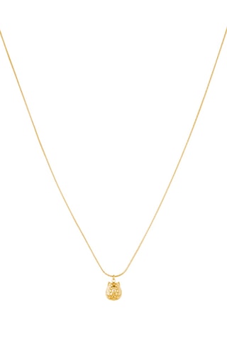 Ketting - Goudkleurig