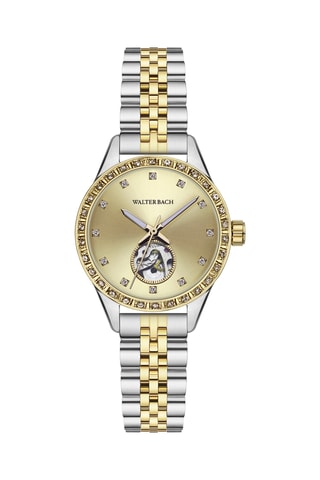 Automatisch Stalen Horloge