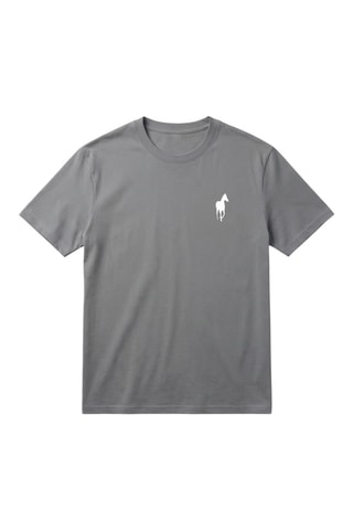 Camiseta - Gris