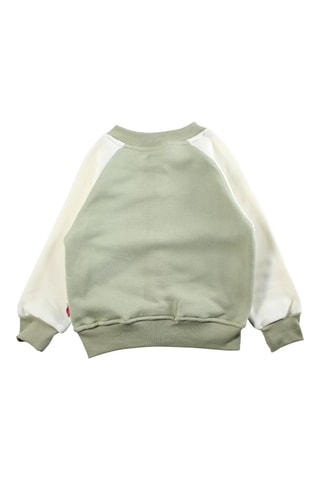 Teddy y pantalón de chándal - Verde