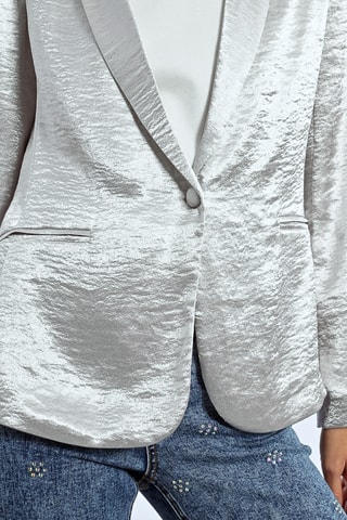 Chaqueta - Plateado