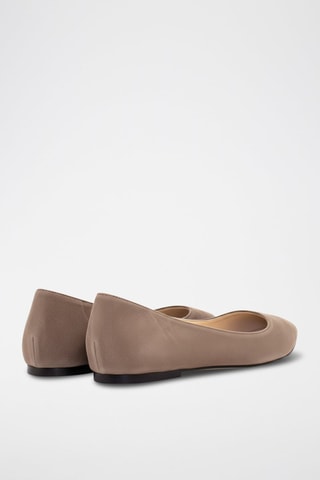 Ballerine in pelle scamosciata - Taupe - Taupe