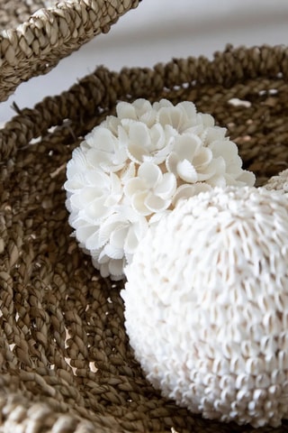 Boule Bubble Shell - 9 x 9 x 9 cm