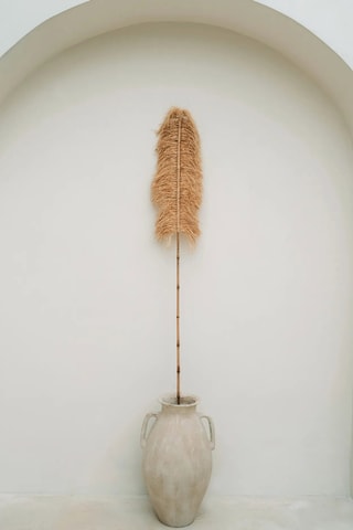 Palme décorative - 30 x 190 x 10 cm - Naturel