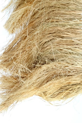 Palme décorative - 30 x 190 x 10 cm - Naturel