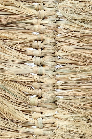 Palme décorative - 30 x 190 x 10 cm - Naturel