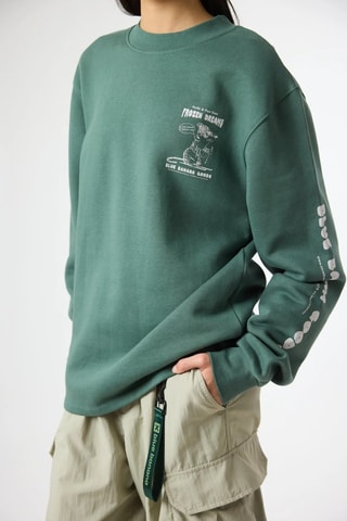 Sweat en coton biologique Max - Vert