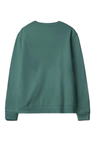 Sweat en coton biologique Max - Vert