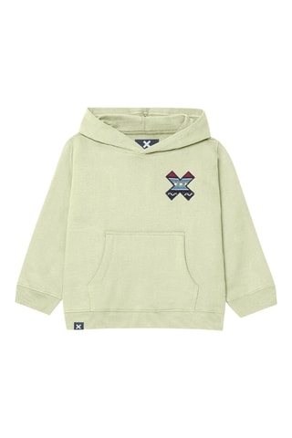 Sweat à capuche en coton biologique Classic - Vert