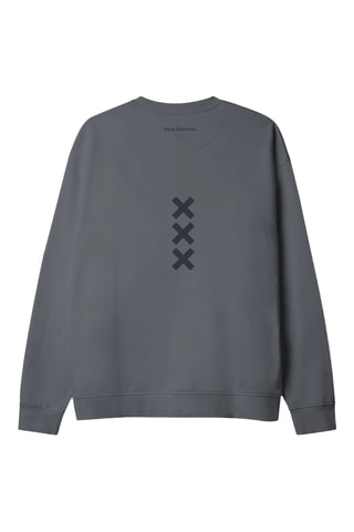 Sweat en coton biologique Bonfire - Gris