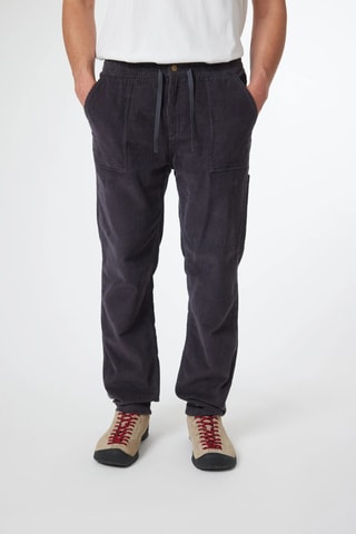 Pantalon regular en velours Check - Gris