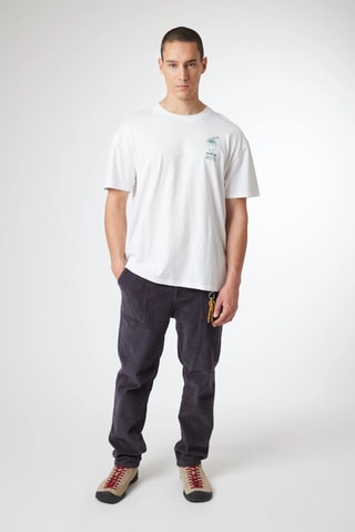Pantalon regular en velours Check - Gris