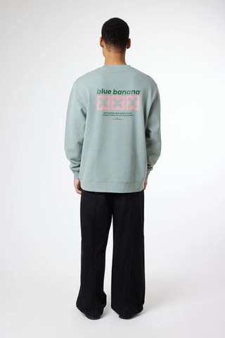 Sweat en coton biologique Line - Vert d'eau
