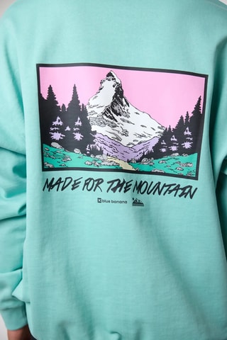 Sweat en coton biologique Grab - Vert d'eau