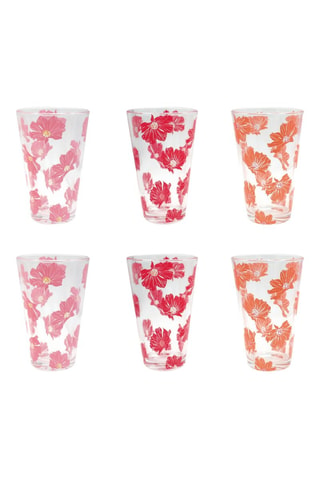 6 glazen - 34 cl