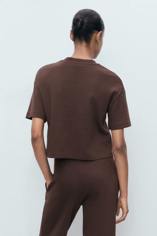 T-shirt coton manches courtes - Marron