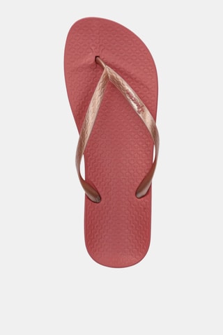 Chanclas Ipanema Anatomica Tan -  Rosa dorado y burdeos