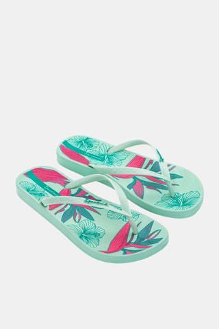 Chanclas Ipanema Anat Temas XV -  Verde claro