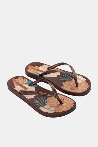 Chanclas Ipanema Anat Temas XV -  Marrón
