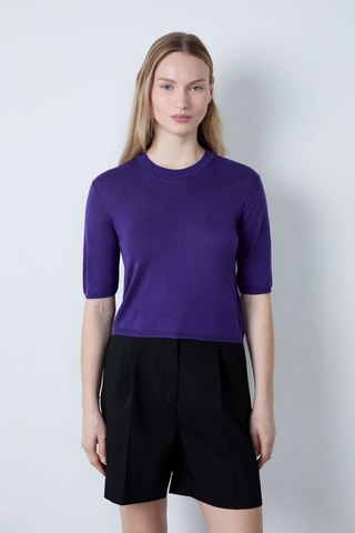 Top Afternoon Light - Viola