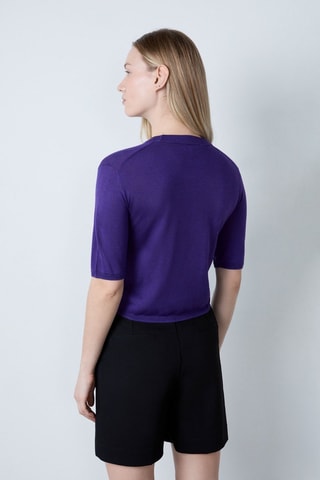 Top Afternoon Light - Viola