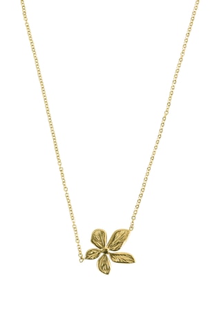 Collier - Plaqué or jaune