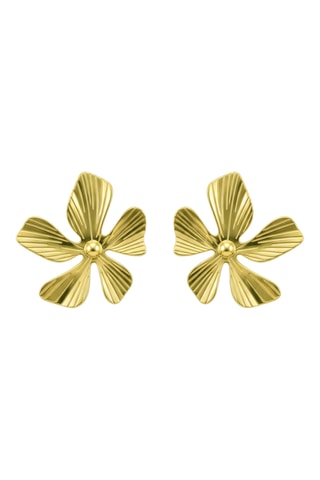 Boucles d'oreilles - Plaqué or jaune