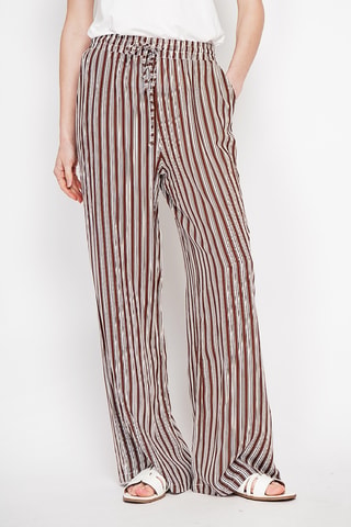Pantaloni in lino - Marrone