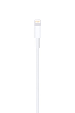 Cable Apple - Lightning hacia USB - 1 m