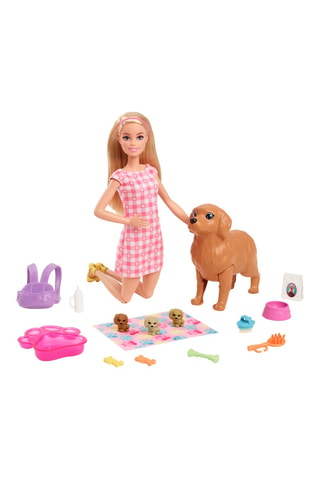 Caja de muñeca Barbie y Animales - Desde 3 años - Modelo aleatorio