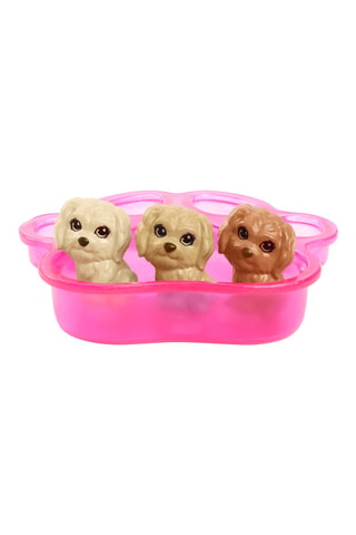 Caja de muñeca Barbie y Animales - Desde 3 años - Modelo aleatorio