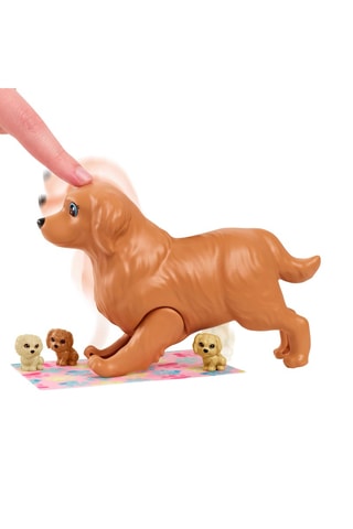 Caja de muñeca Barbie y Animales - Desde 3 años - Modelo aleatorio