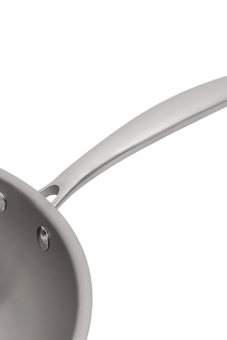 2 poêles Gourmet en acier inoxydable et 1 pierre d'argent Citron - 24/28 cm et 300 g