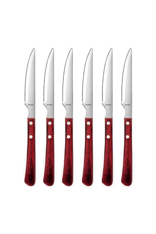 6 Roestvrijstalen Steakmessen Brasero - 24 cm