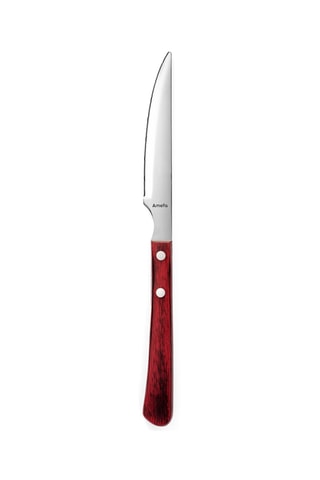 6 Roestvrijstalen Steakmessen Brasero - 24 cm