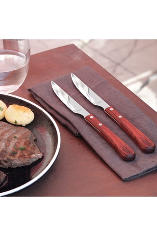 6 Roestvrijstalen Steakmessen Brasero - 24 cm