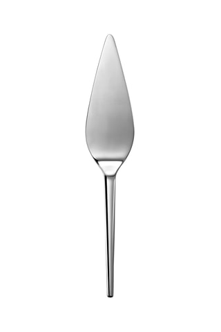 Pelle à gâteau en acier inoxydable - 26 cm