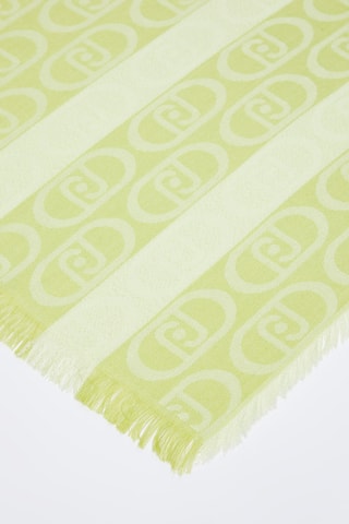 Echarpe - Vert clair