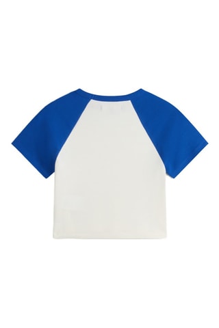 T-shirt - Ecru - Adidas - Vans