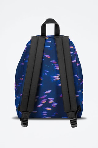 Sac à dos Padded Pak'r National Geographic - Bleu et violet