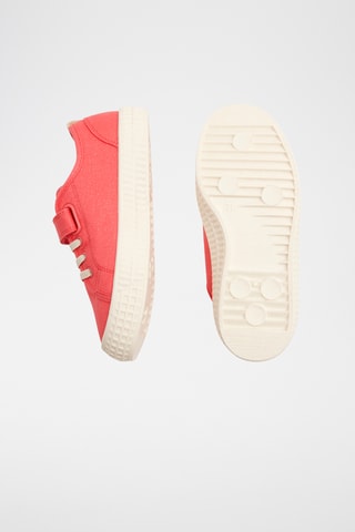 Tenis - Rojo